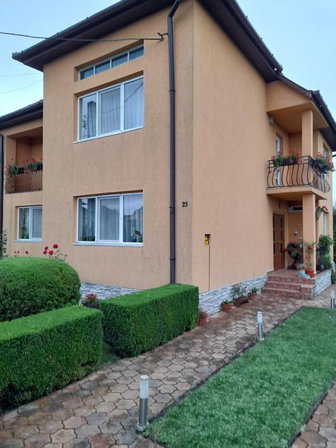 Villa Casa Ioana Haţeg Exterior foto