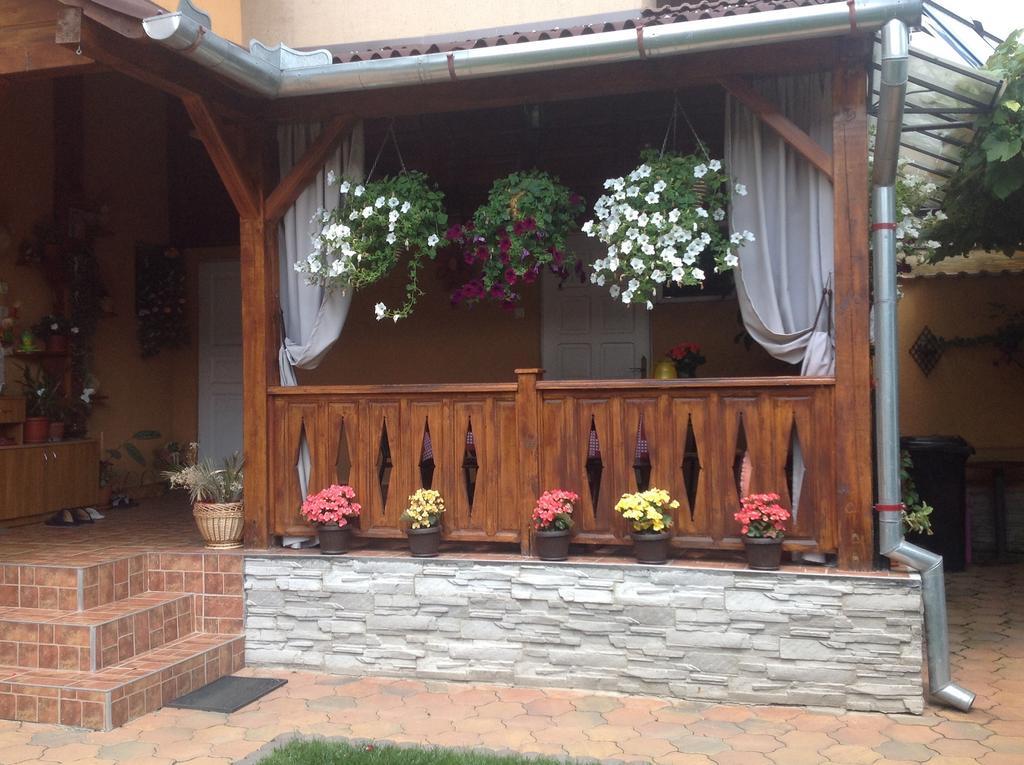 Villa Casa Ioana Haţeg Zimmer foto