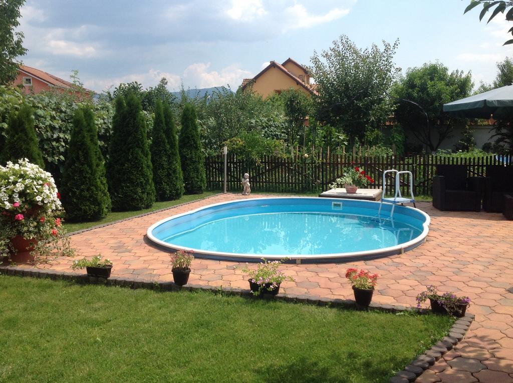 Villa Casa Ioana Haţeg Zimmer foto